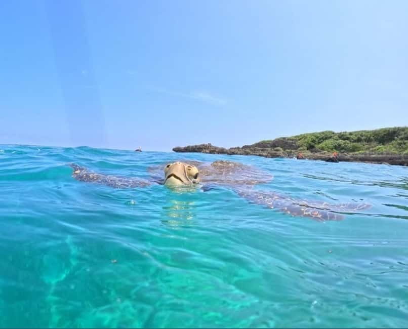 Miyako Island: English speaking SUP Tour - Who Should Consider This Tour?