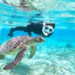 Miyako Island: SUP or Canoeing and Snorkeling Experience - Final Thoughts: Is It Worth It?