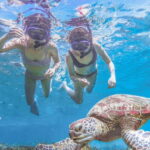 Miyakojima: SUP and Snorkeling- Two Activities in One Day - Why This Tour Might Be Perfect for You