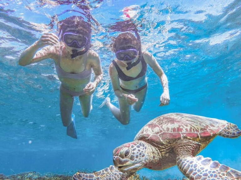 Miyakojima: SUP and Snorkeling- Two Activities in One Day - Why This Tour Might Be Perfect for You