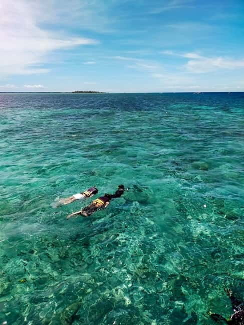 Moalboal: Private Beginner's Canyoning and Sardines & Turtle - Snorkeling in Moalboal: Sardines and Sea Turtles