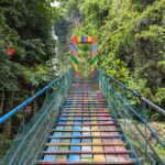 Moalboal Sardine Run, Sea Turtle and Mantayupan Falls - FAQs