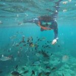 Moalboal Sardines & Turtle Snorkeling and Kawasan Canyoneering - Transition to Land: Kawasan Falls and Canyoneering