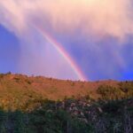 Mogollon Rim Run Supreme Jeep Tour from Sedona - The Authenticity and Value of the Experience