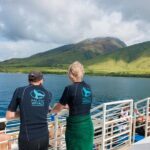 Molokini and Turtle Arches Snorkeling Trip from Ma'alaea Harbor - An In-Depth Look at the Maui Snorkeling Adventure