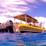 Molokini Crater Zodiac Adventure: Snorkel and Turtle Cove Swim - Why This Tour Offers Great Value
