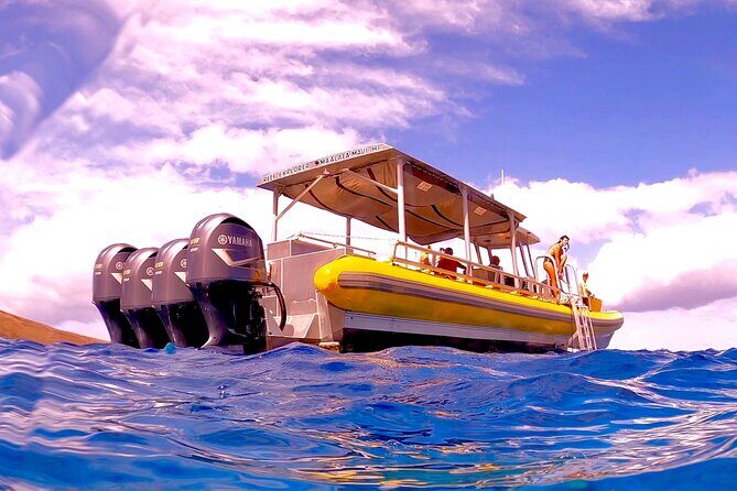 Molokini Crater Zodiac Adventure: Snorkel and Turtle Cove Swim - Why This Tour Offers Great Value