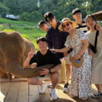 Mon Jam, Elefin Café, and Cypress Lane Chiang Mai - Who Will Love This Tour?