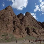 Mongolia: Gobi Desert and Kharkhorin, Central Mongolia Tour - What Sets This Tour Apart