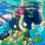 Monkey Bar and snorkling adventure at blue lagoon. - The Bottom Line