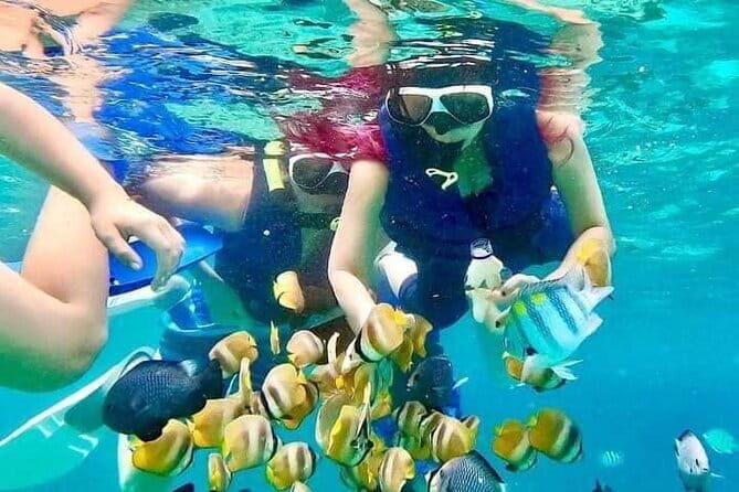 Monkey Bar and snorkling adventure at blue lagoon. - The Bottom Line