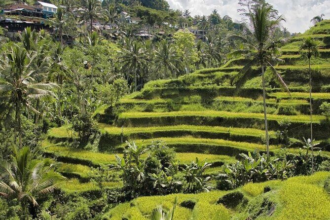 Monkey Forest, Rice Terrace & Water Temple Tour - Tegalalang Rice Terrace: Bali’s Iconic Landscape