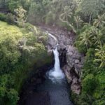 Monkey Forest Ubud Half day Tour - Final Thoughts