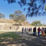 Monte Alban Only - Half Day Guided Tour - Oaxaca - Practical Tips for Visiting