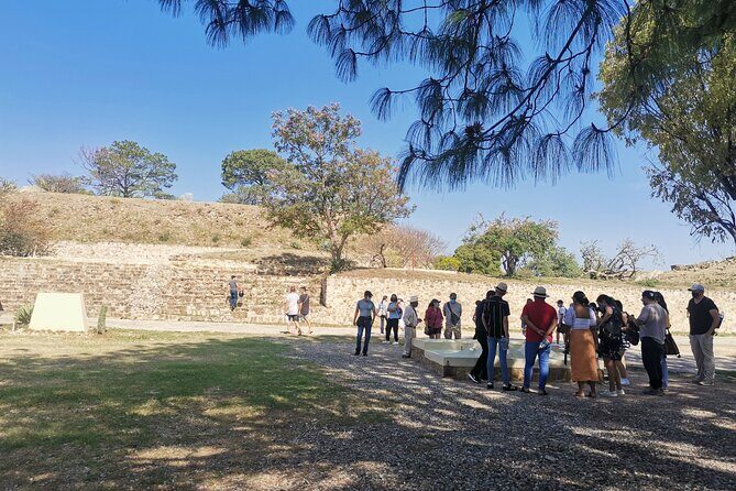 Monte Alban Only - Half Day Guided Tour - Oaxaca - Practical Tips for Visiting