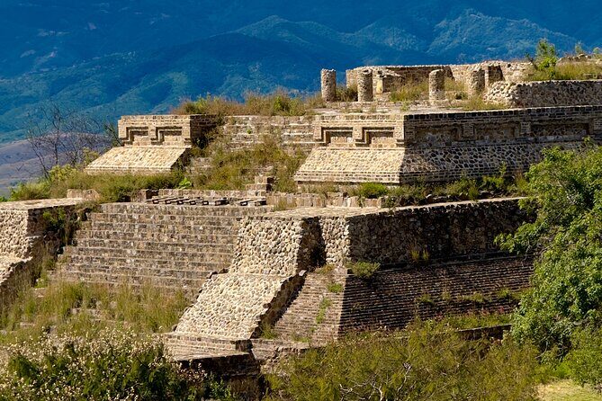 Monte Alban Tree of the Tule Mezcal and Teotitlan del Valle Tour - The Practical Side: Transportation, Cost, and Value