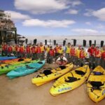 Monterey Bay Full-Day Kayak Rental: Otters, Seals and Sea Lions - What the Reviews Say