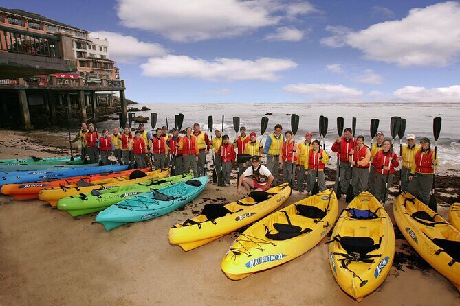 Monterey Bay Full-Day Kayak Rental: Otters, Seals and Sea Lions - What the Reviews Say