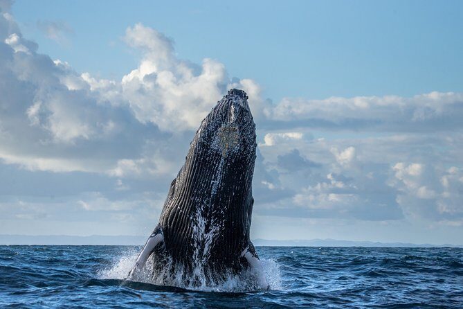 Monterey Bay Whale Watching - Frequently Asked Questions