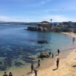 Monterey, Carmel and 17-Mile Drive: Full Day Tour from SF - Who Will Love This Tour?