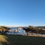 Monterey Fisherman's Wharf and Presidio Scavenger Hunt - Who Would Love This Experience?