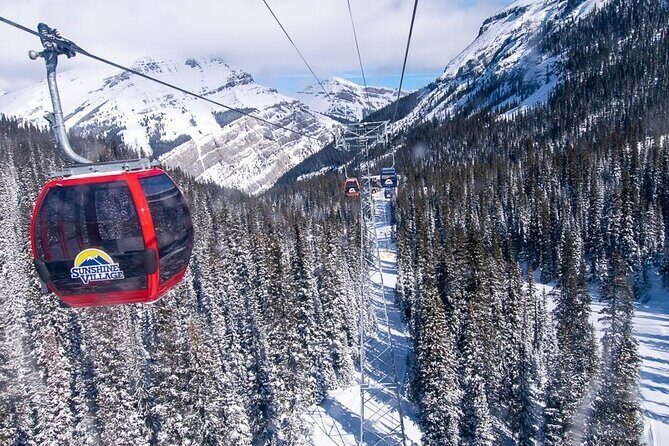 Montreal Epic Ski Adventure in Quebecs Winter Wonderland - Practical Tips for Booking and Enjoying Your Day