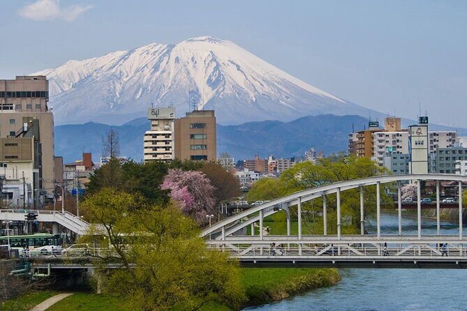 Morioka Half-Day Private Tour with Government-Licensed Guide - Who Should Book This Tour?