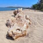 Morning Beach Hopping on Bike with Breakfast - A Detailed Look at the Beach Hopping Bike Tour