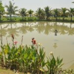 Morning Cooking Class in Organic Farm with Local Market Tour - A Closer Look at the Tour Experience