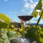 Morning Half Day Carmel Valley Wine Tasting Tour - The Sum Up: Is It Worth It?