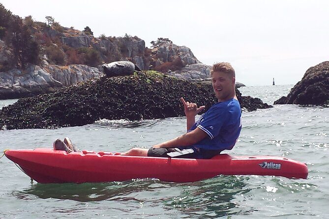 Morning Kayak & Seal Cruise - The Practical Side: Value and Booking