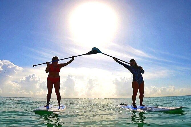 Morning Session - All Levels Paddleboard Group Caribbean Sea - The Paddleboarding Itself