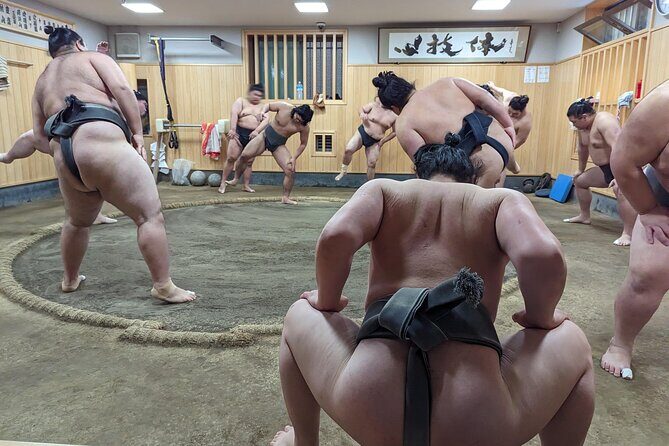 Morning Sumo Practice Viewing in Tokyo - Why We Think This Tour Offers Great Value