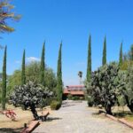 Morning Tour and Olive product tasting - The Real Value of This Tour