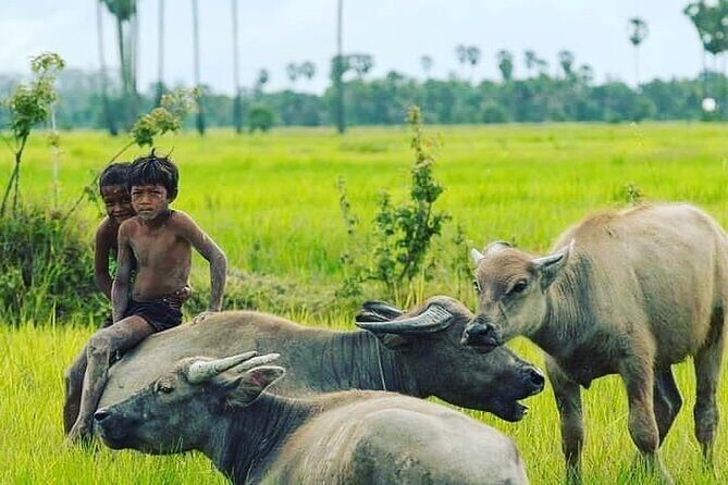 Morning Tour Bamboo Train, Ancient House, Local, Countryside - Exploring the Itinerary in Detail