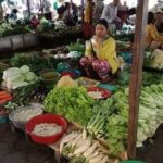 Morning Walking Tour at Local Livelihood in Battambang - Exploring Battambang’s Heart in a Short Walk