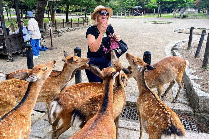 Morning Wonder World Heritage Nara Guided Tour - Authentic Insights from Reviewers