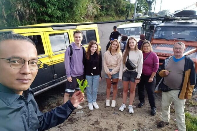 Mossy Forest in Brinchang Tour - Exploring the Highlights in Detail