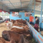 Motor bike ride to Baidhnath shiva temple and trekking - Why This Tour Stands Out