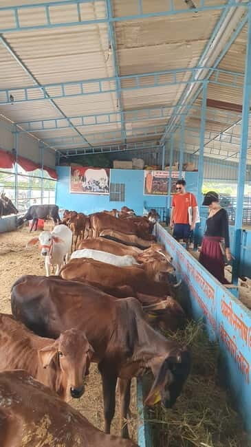 Motor bike ride to Baidhnath shiva temple and trekking - Why This Tour Stands Out