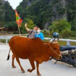 Motorbike Rental Ninh Binh - Who Will Love This Rental Service?