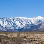 Mount Charleston Tour - A Detailed Look at the Mount Charleston Tour