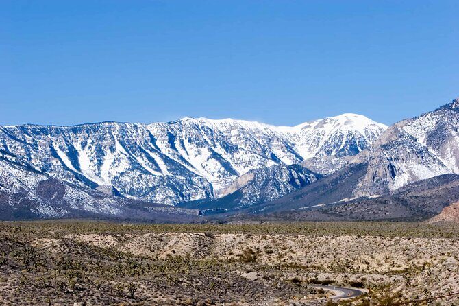 Mount Charleston Tour - A Detailed Look at the Mount Charleston Tour