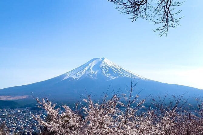Mount Fuji Adventure Tour from Tokyo with English Guide - Final Thoughts: Is This the Right Tour for You?