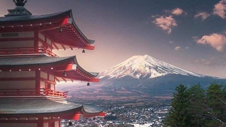 Mount Fuji and Hakone Full Day Private Sightseeing Tour - Who Is This Tour Best For?