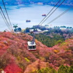 Mount Fuji and Hakone Private Day Trip by Car/Van - in English - Who Would Love This Tour?
