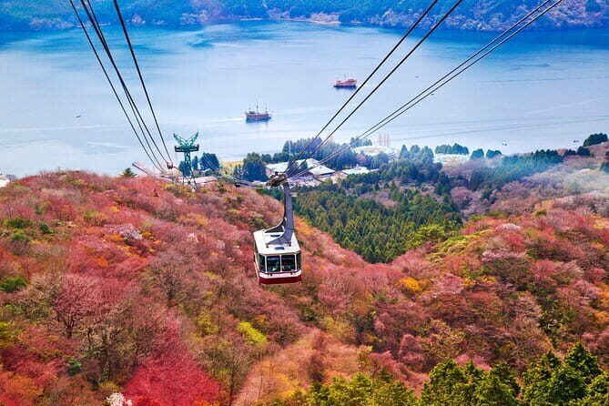 Mount Fuji and Hakone Private Day Trip by Car/Van - in English - Who Would Love This Tour?