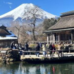 Mount Fuji and Hakone Private Tour with English Speaking Guide - FAQ