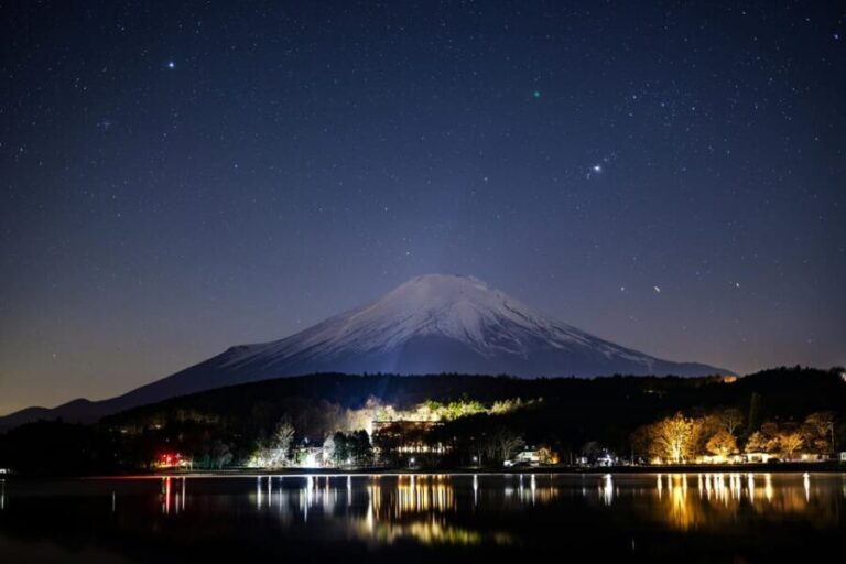 Mount Fuji and Hakone Tour with Personal Driver & Transport - Why This Tour Works for Travelers