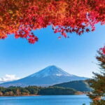 Mount Fuji Day Tour by Chartered Car - Who Will Love This Tour?